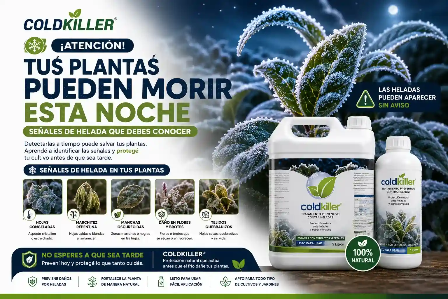 Tus plantas pueden morir esta noche (señales de helada que debes conocer)