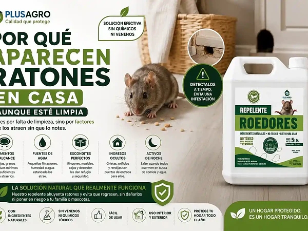 Por qué aparecen ratones en casa (aunque esté limpia)
