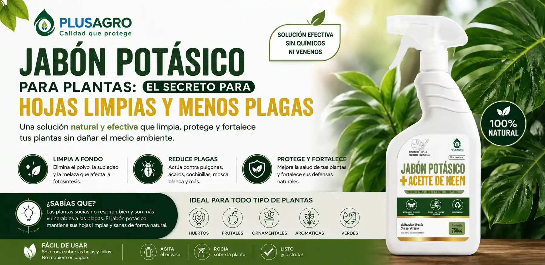 Jabón potásico para plantas: el secreto para hojas limpias y menos plagas