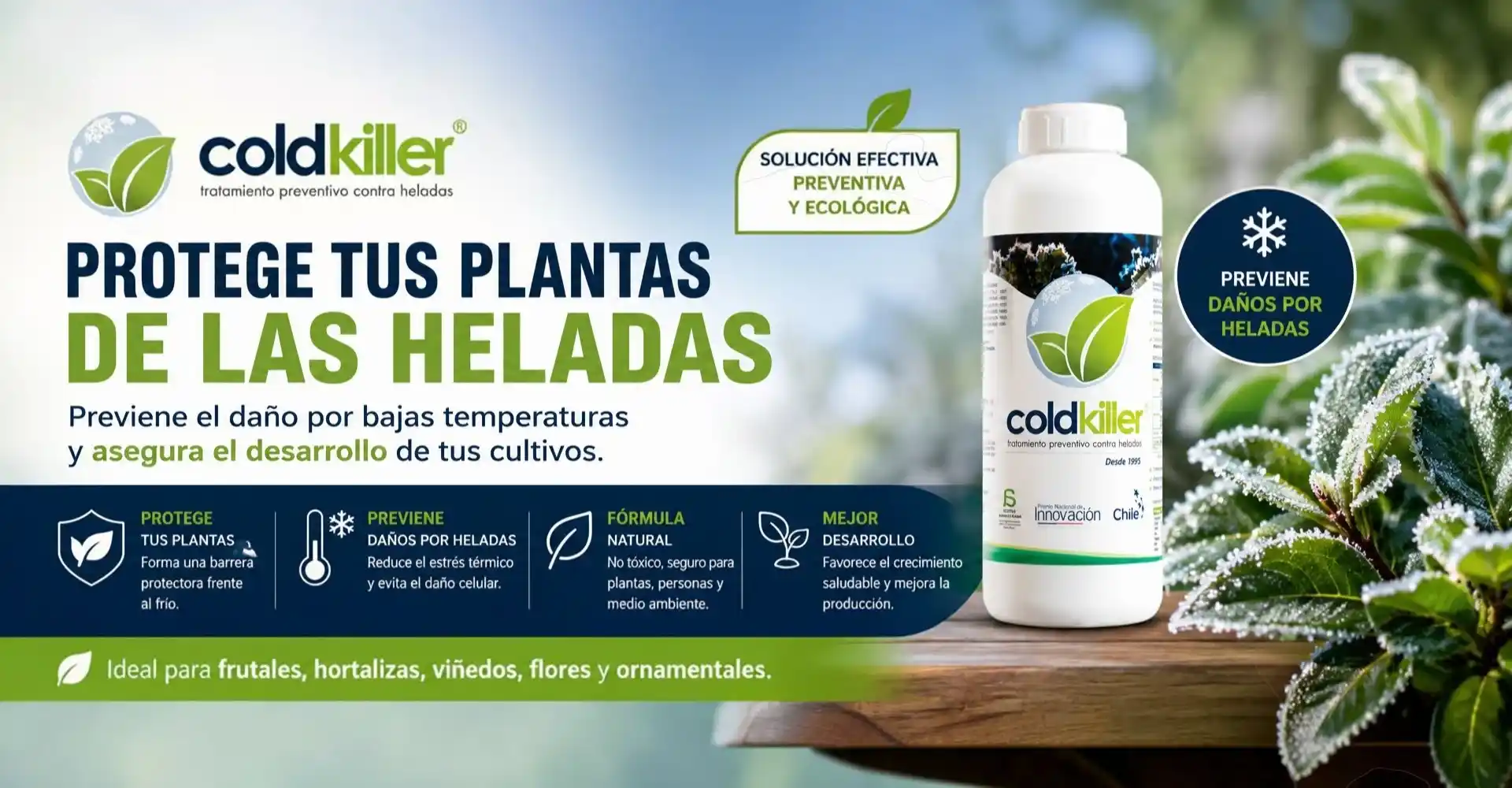 Heladas: el verdadero motivo por el que mueren las plantas