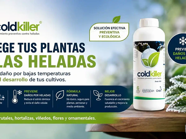 Heladas: el verdadero motivo por el que mueren las plantas