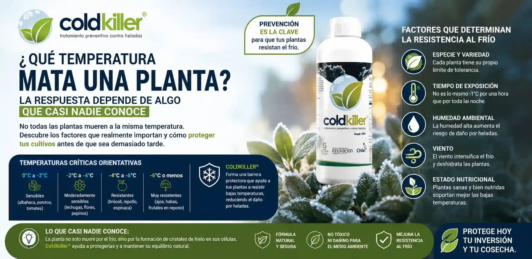 ¿Qué temperatura mata una planta? La respuesta real que debes conocer