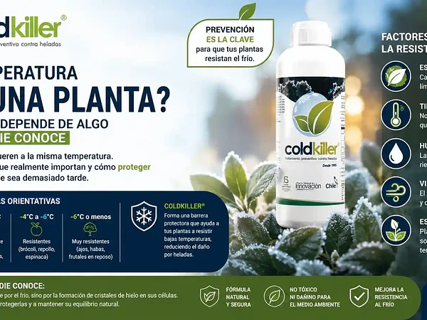 ¿Qué temperatura mata una planta? La respuesta real que debes conocer