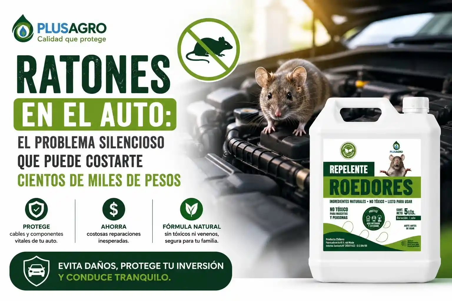 Ratones en el auto: el problema silencioso que puede costarte cientos de miles de pesos