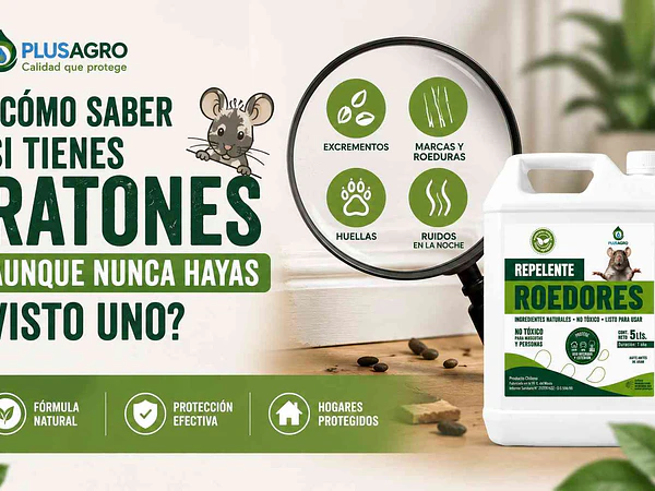 Cómo saber si tienes ratones aunque nunca hayas visto uno