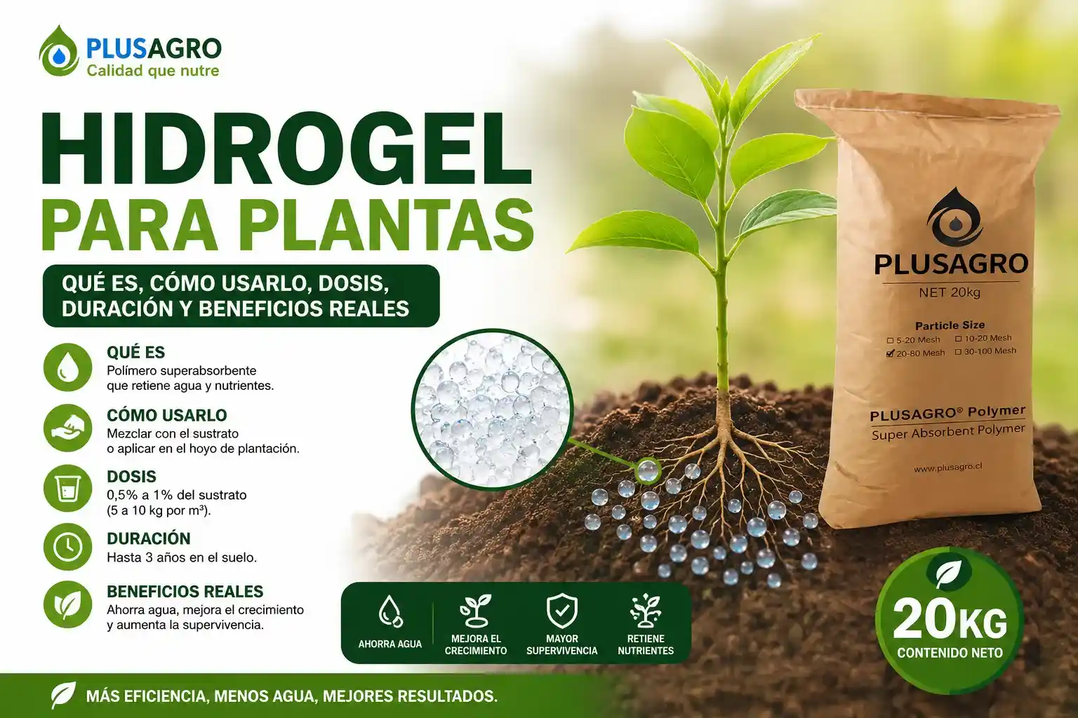 Hidrogel para plantas: qué es, cómo usarlo, dosis, duración y beneficios reales