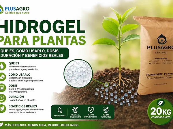 Hidrogel para plantas: qué es, cómo usarlo, dosis, duración y beneficios reales