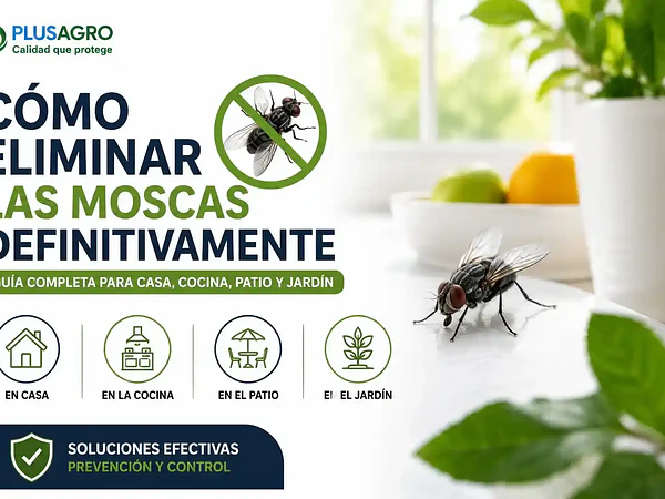 Cómo eliminar las moscas definitivamente: guía completa y soluciones efectivas