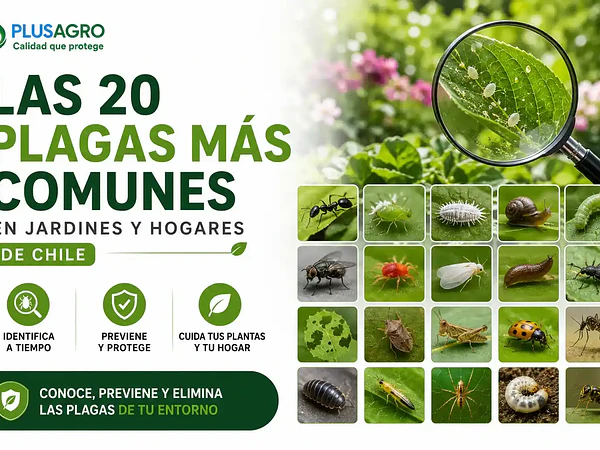 Las 20 plagas más comunes en jardines y hogares de Chile