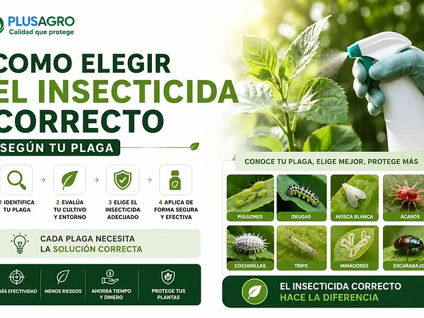 Cómo elegir el insecticida correcto según tu plaga