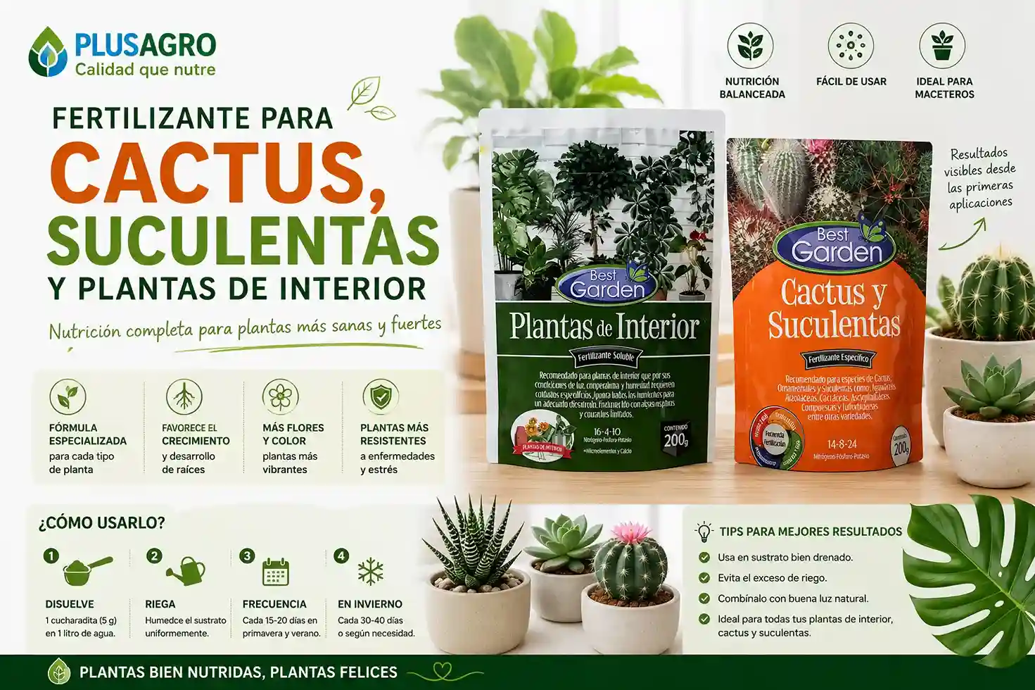 Fertilizante para cactus, suculentas y plantas de interior
