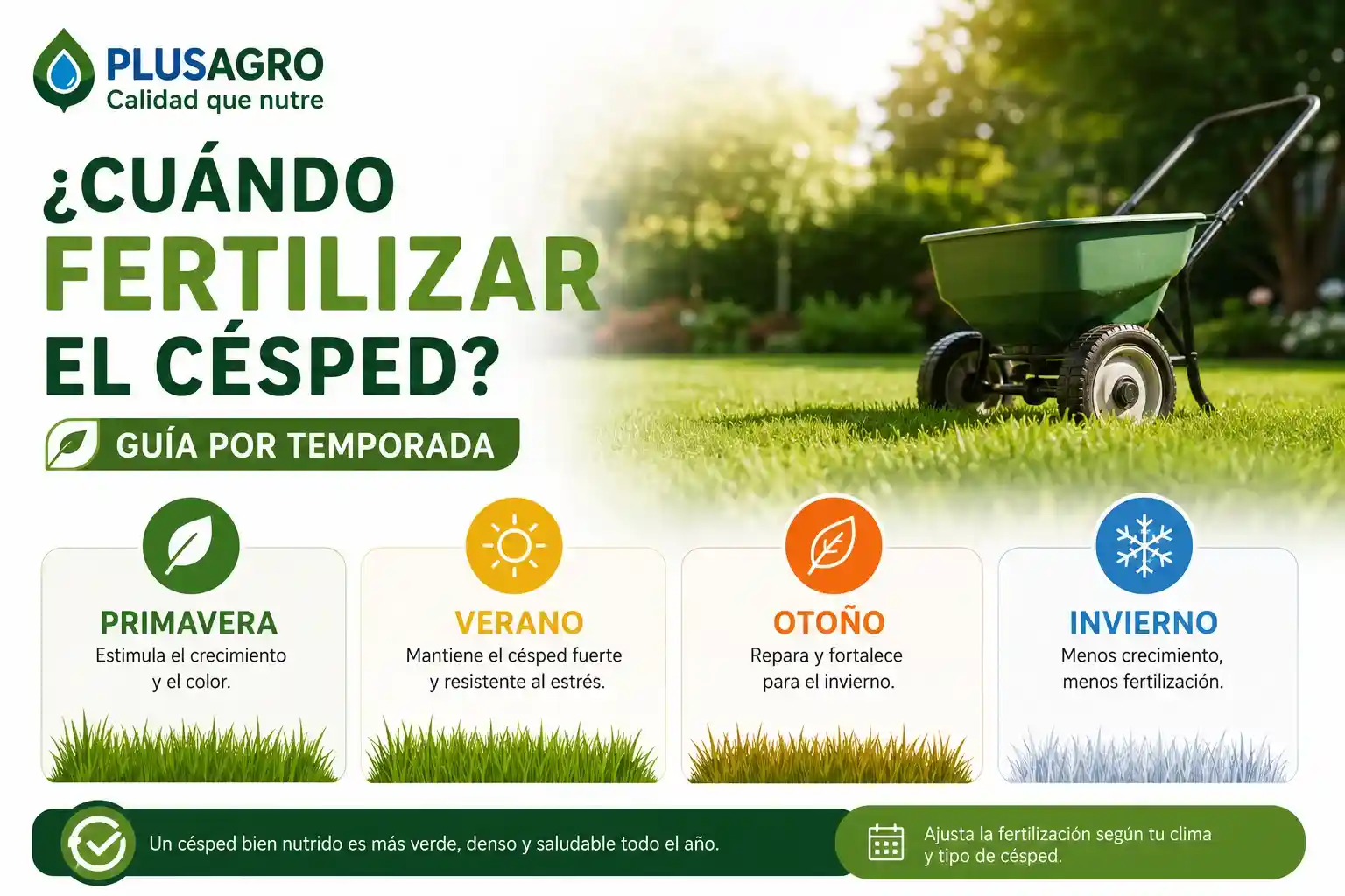  Cuándo fertilizar el césped: guía por temporada