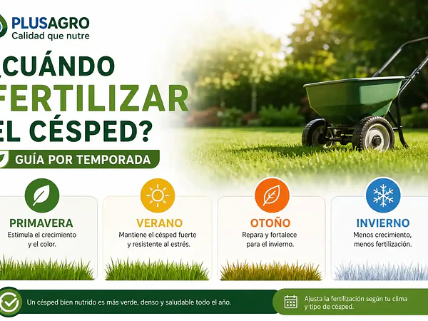  Cuándo fertilizar el césped: guía por temporada