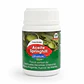 Aceite Springhill Insecticida 100 cc | Control de Conchuelas y Arañitas - Miniatura 1