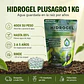 Hidrogel Plusagro 1 Kg | Ahorra Hasta 85% de Agua - Miniatura 4