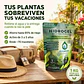 Hidrogel Plusagro 1 Kg | Ahorra Hasta 85% de Agua - Miniatura 3