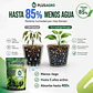 Hidrogel Plusagro 1 Kg | Ahorra Hasta 85% de Agua - Miniatura 2