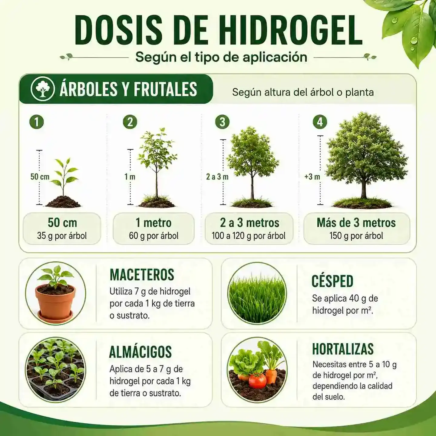 Hidrogel Plusagro 5 Kg | Ahorra Hasta 85% de Agua de Riego 7