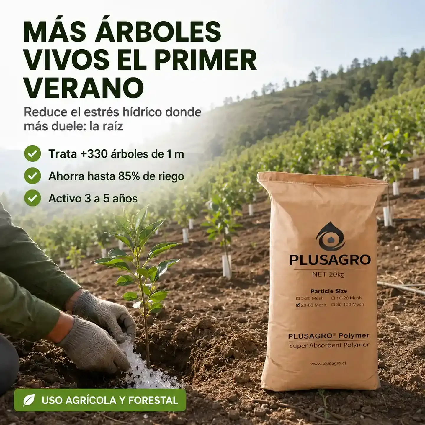Hidrogel Plusagro 20 Kg | Uso Agrícola y Forestal 2