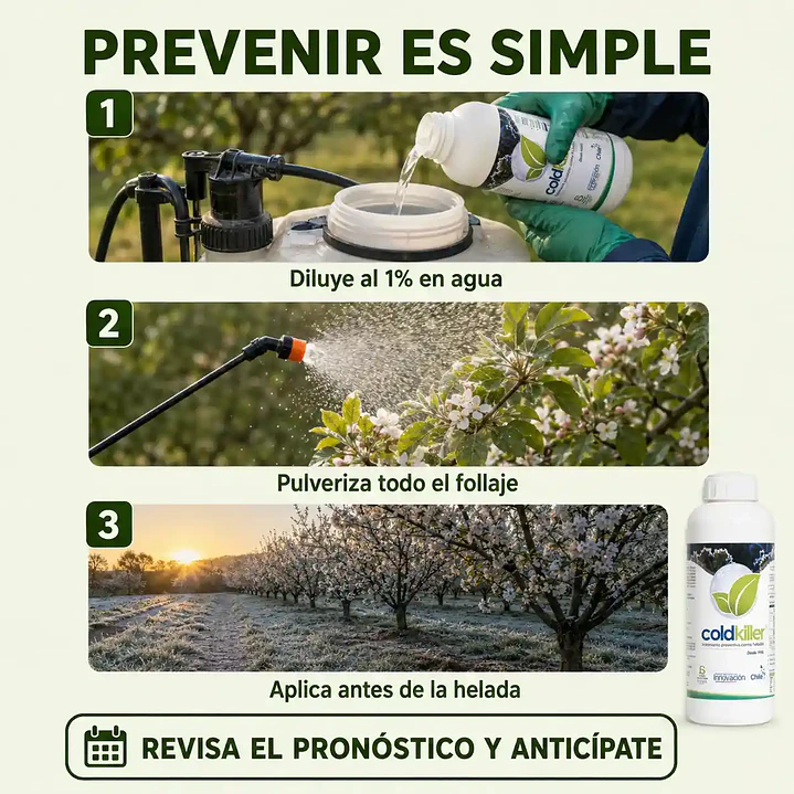 Coldkiller 1 L Antiheladas | Protección Preventiva para Cultivos 4
