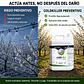 Coldkiller 5 L Antiheladas | Protección Preventiva para Cultivos - Miniatura 4