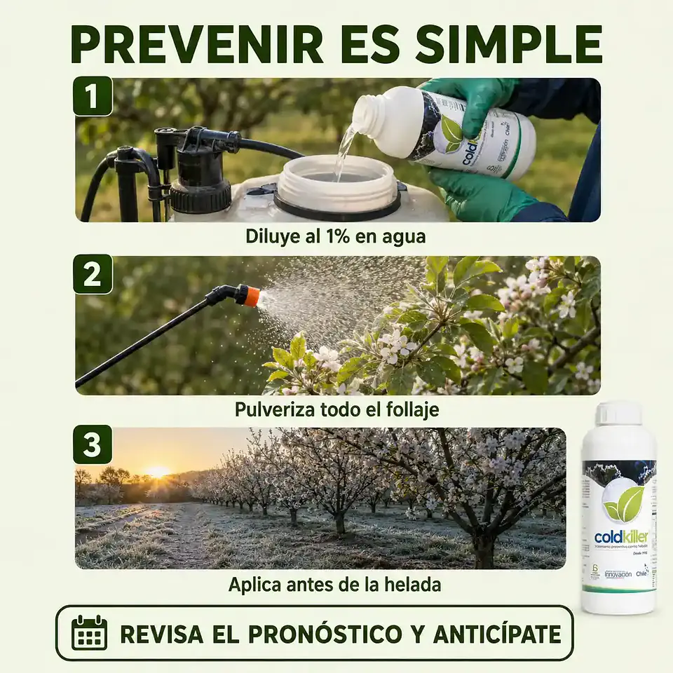 Coldkiller 5 L Antiheladas | Protección Preventiva para Cultivos 3