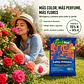Salitre Potásico 15-0-14 Jarditec 10 Kg | Fertilizante Granulado para Jardín y Prados - Miniatura 2