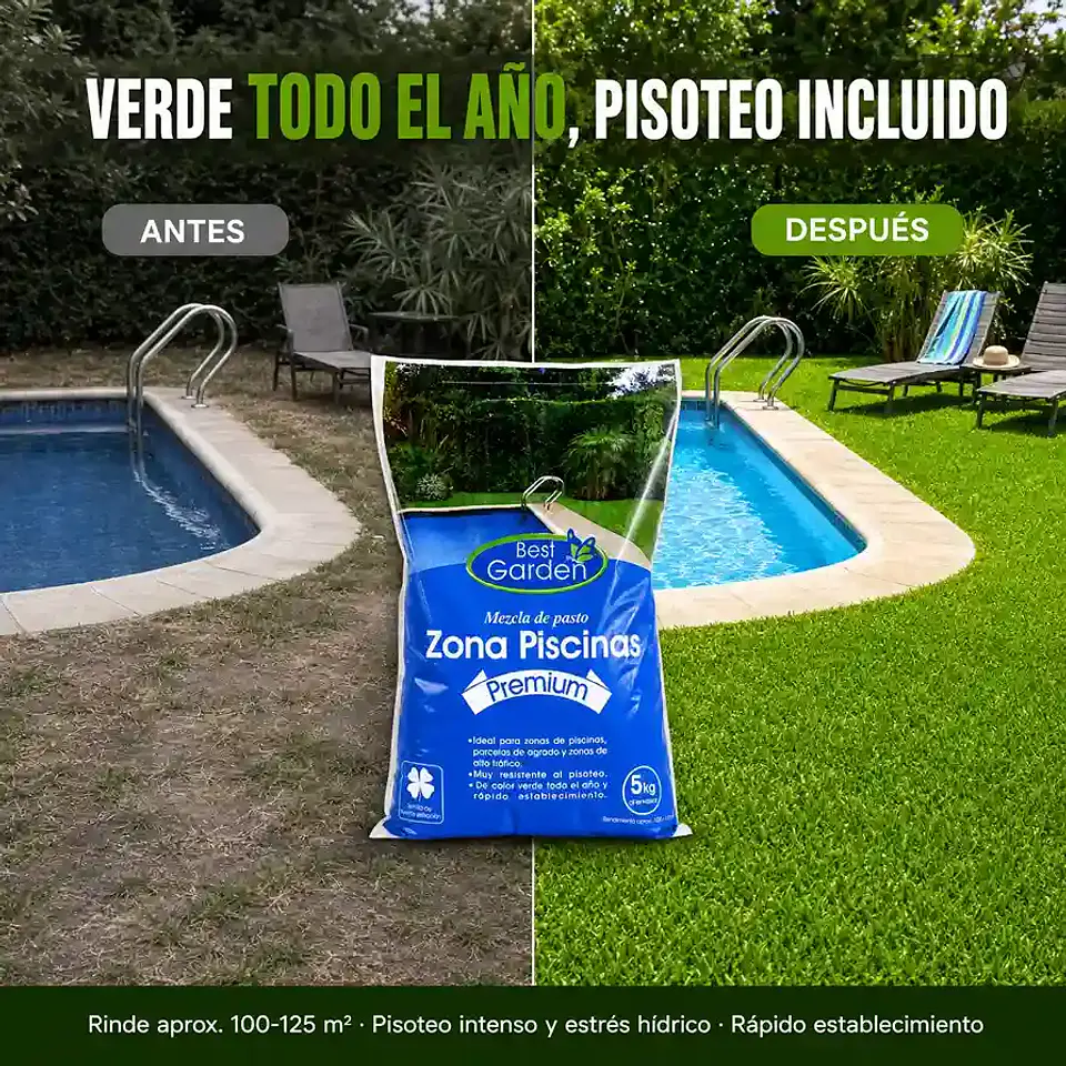 Semilla de Césped Zona Piscina 5 Kg Best Garden | Mezcla Premium Resistente al Pisoteo 2