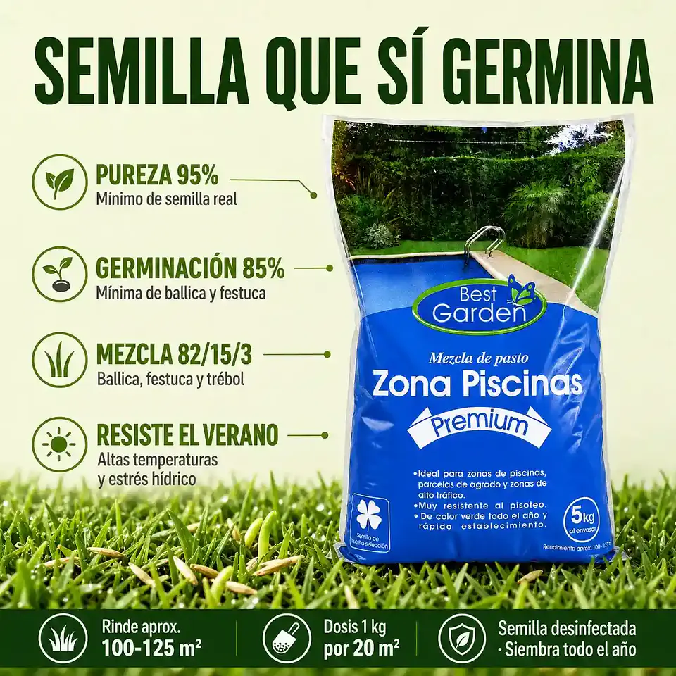 Semilla de Césped Zona Piscina 5 Kg Best Garden | Mezcla Premium Resistente al Pisoteo 3