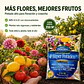 Super Potásico+ 10 Kg | Fertilizante Granulado NPK 5-5-21 con Micronutrientes - Miniatura 2