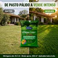 Super Urea+ 10 Kg | Fertilizante Granulado NPK 16-5-6 para Crecimiento y Verdor - Miniatura 2