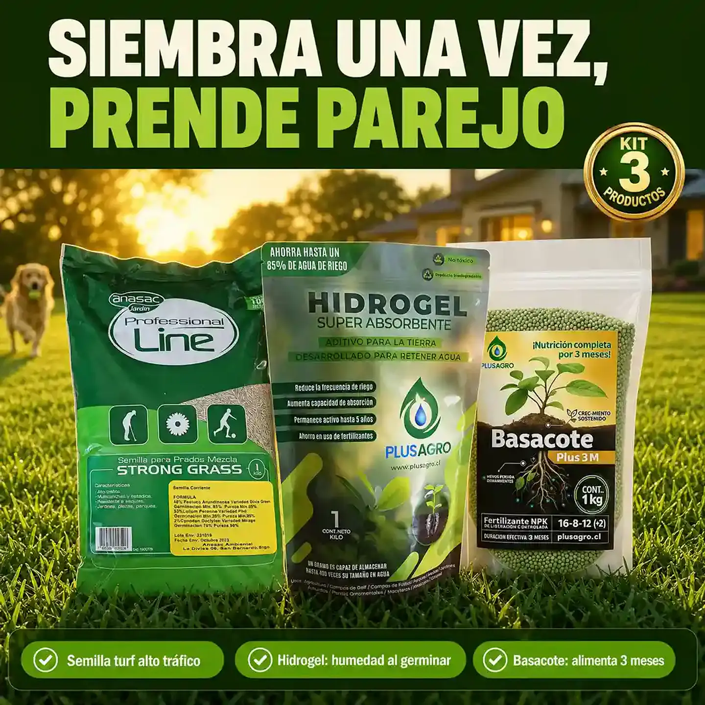 Kit Césped Nuevo de Primavera | Semilla Strong Grass + Basacote + Hidrogel 2