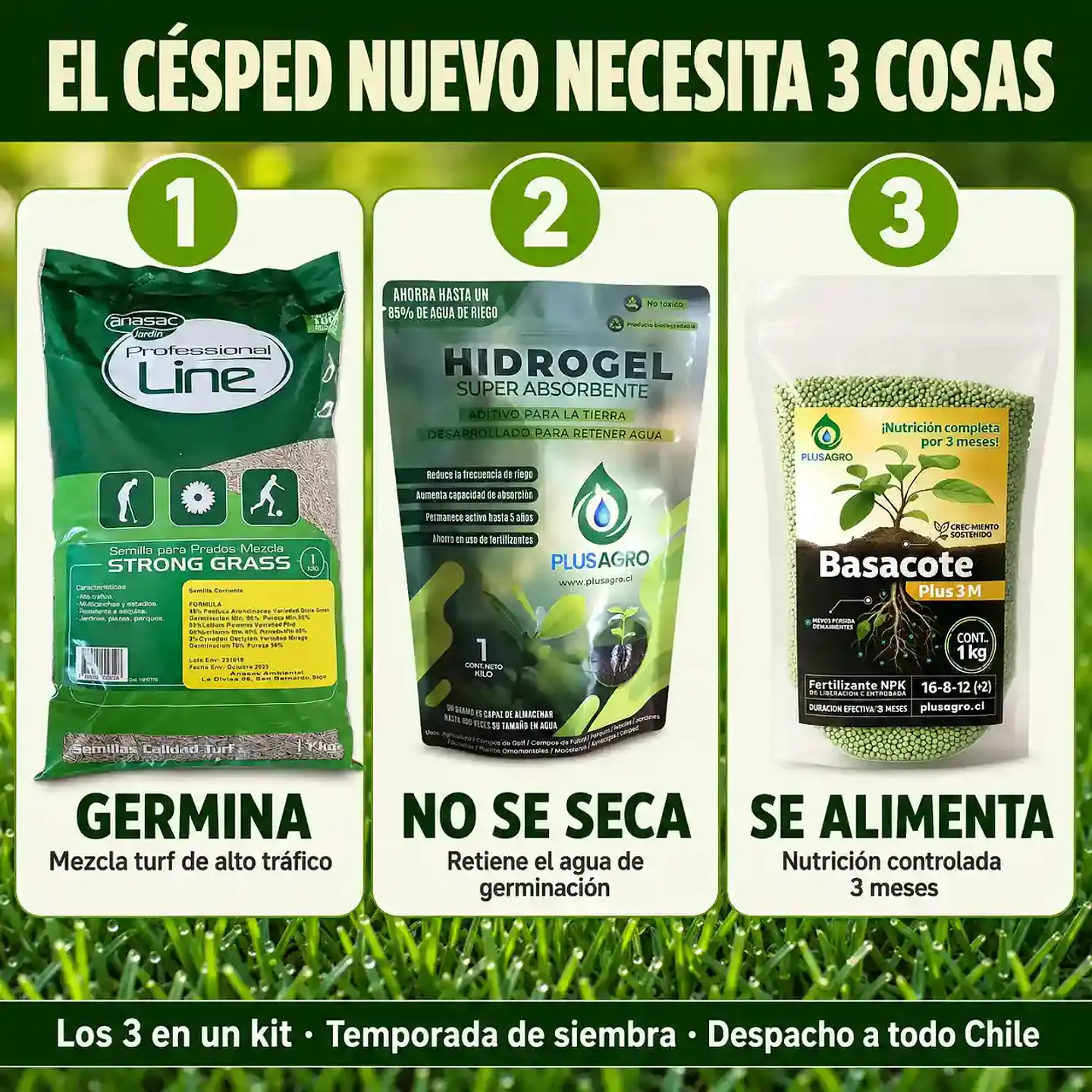 Kit Césped Nuevo de Primavera | Semilla Strong Grass + Basacote + Hidrogel 3
