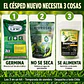 Kit Césped Nuevo de Primavera | Semilla Strong Grass + Basacote + Hidrogel - Miniatura 3