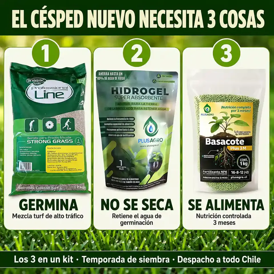 Kit Césped Nuevo de Primavera | Semilla Strong Grass + Basacote + Hidrogel 3