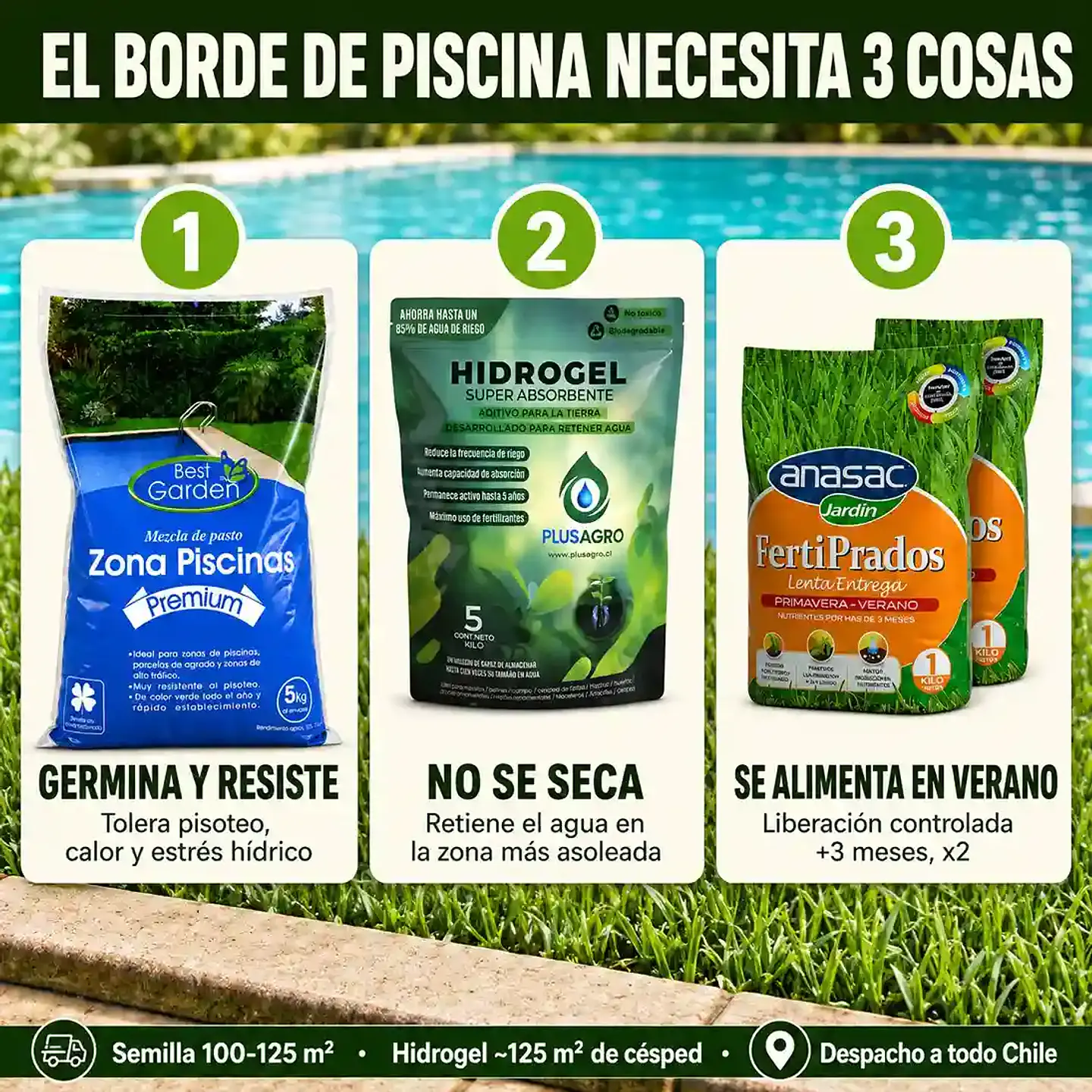 Kit Césped Zona Piscina | Semilla + Hidrogel + Fertilizante para Gran Superficie 2