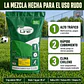 Semilla de Pasto Strong Grass 5 Kg Anasac | Alto Tráfico  - Miniatura 3