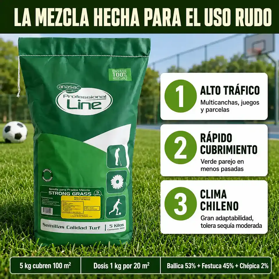 Semilla de Pasto Strong Grass 5 Kg Anasac | Alto Tráfico  3