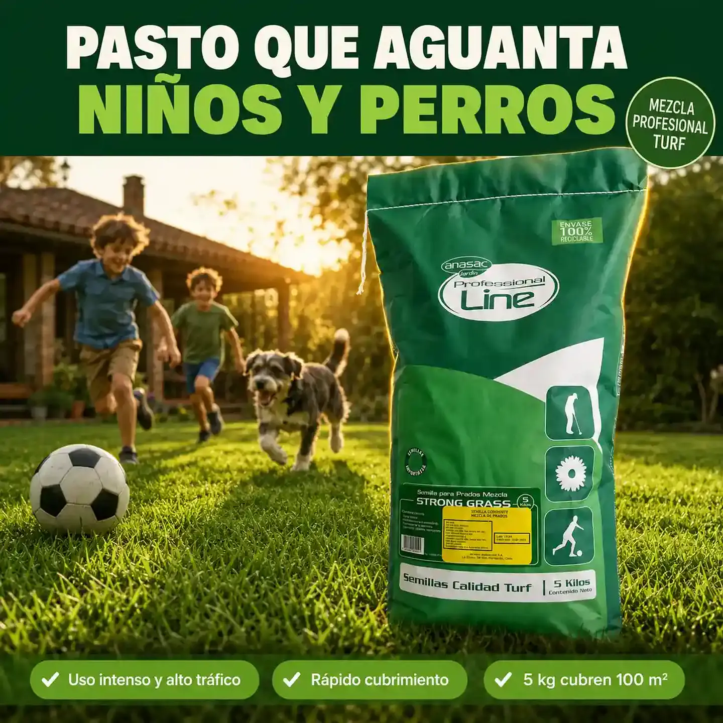 Semilla de Pasto Strong Grass 5 Kg Anasac | Alto Tráfico  2