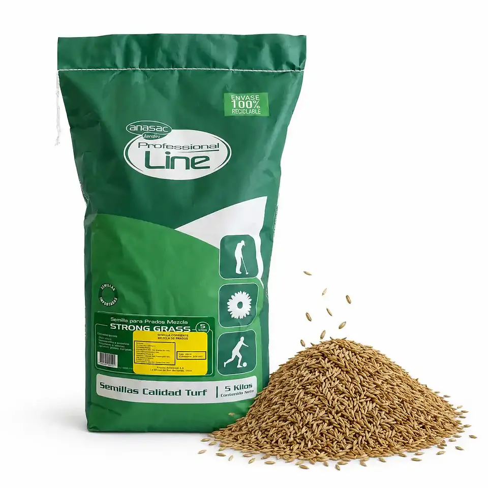 Semilla de Pasto Strong Grass 5 Kg Anasac | Alto Tráfico  1