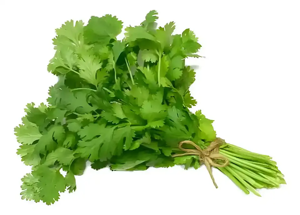 Semillas de Hierbas Aromáticas 2