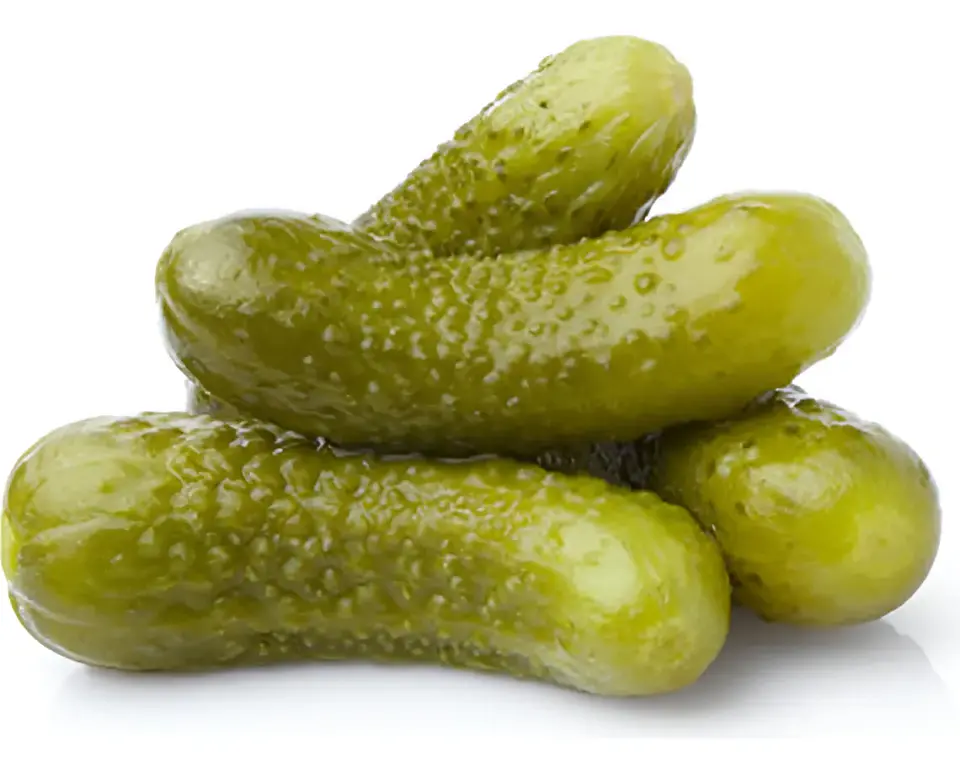 Semillas de Hortalizas de Frutos 21
