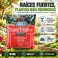 Super Triple+ NPK 10 kg Best Garden | Fertilizante Granulado NPK 5-16-6 - Miniatura 2