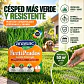 Fertilizante Fertiprados Césped Primavera-verano Anasac 1 kg - Miniatura 2