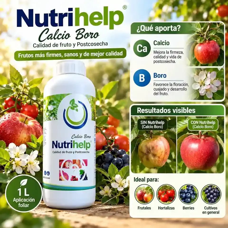 Nutrihelp Calcio Boro 1L | Corrector Nutricional Foliar 2