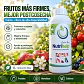 Nutrihelp Calcio Boro 1L | Corrector Nutricional Foliar - Miniatura 3
