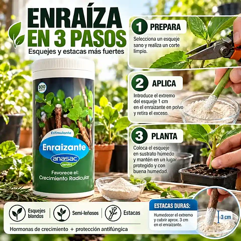 Enraizante Anasac 800 G