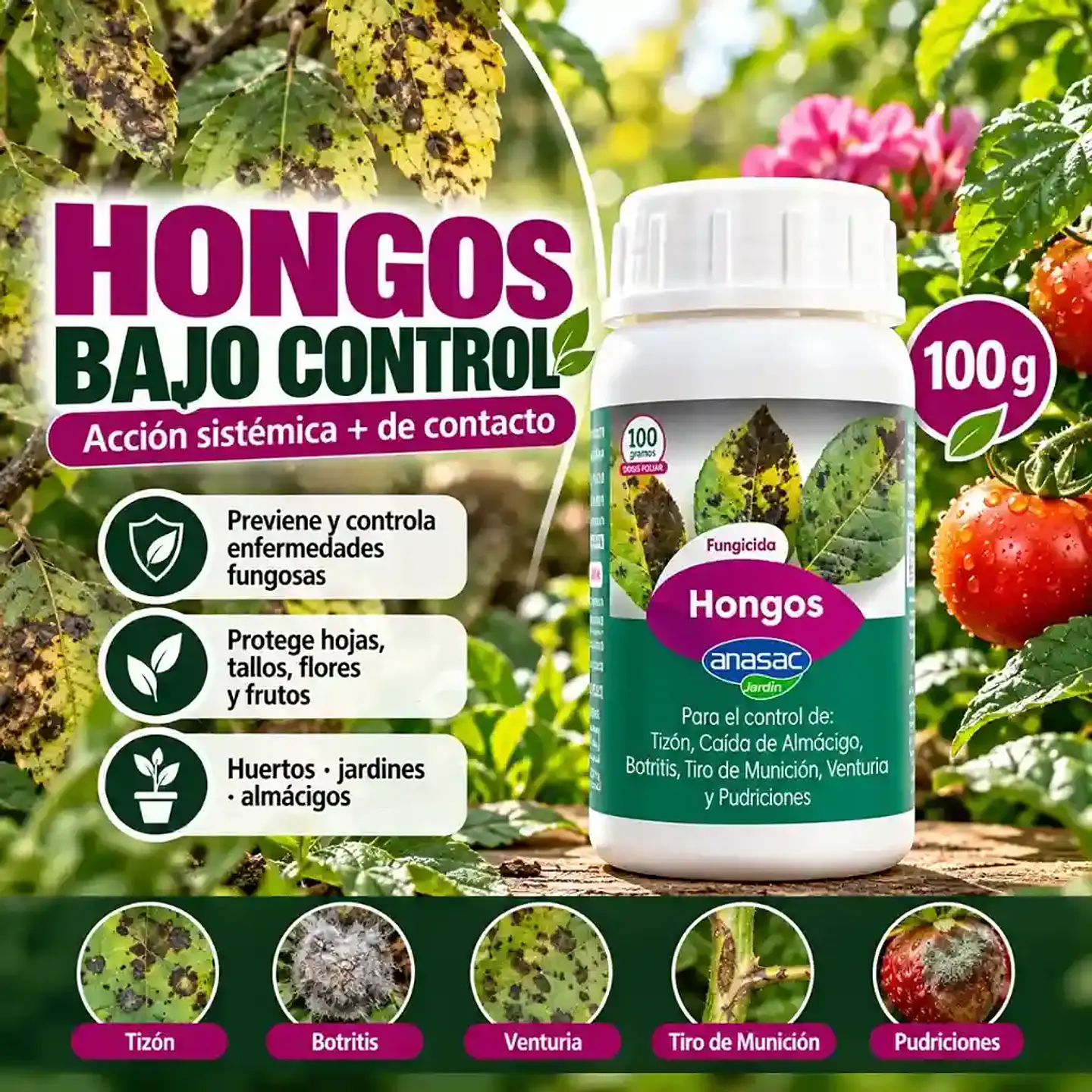 Fungicida Hongos 100 g Anasac | Control Sistémico y Preventivo 3