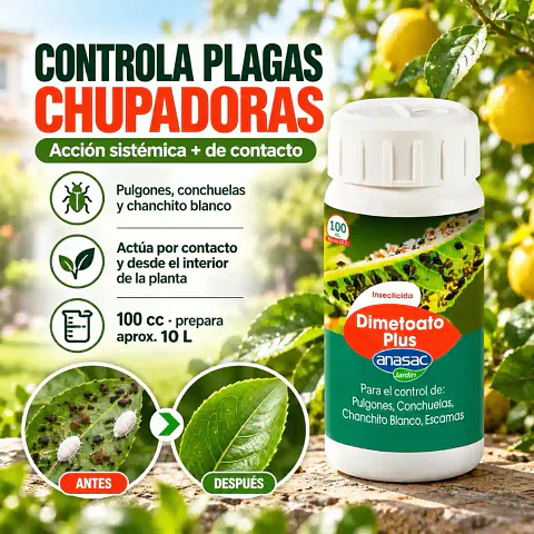 Dimetoato Plus 100 cc Anasac | Control de Pulgones y Conchuelas