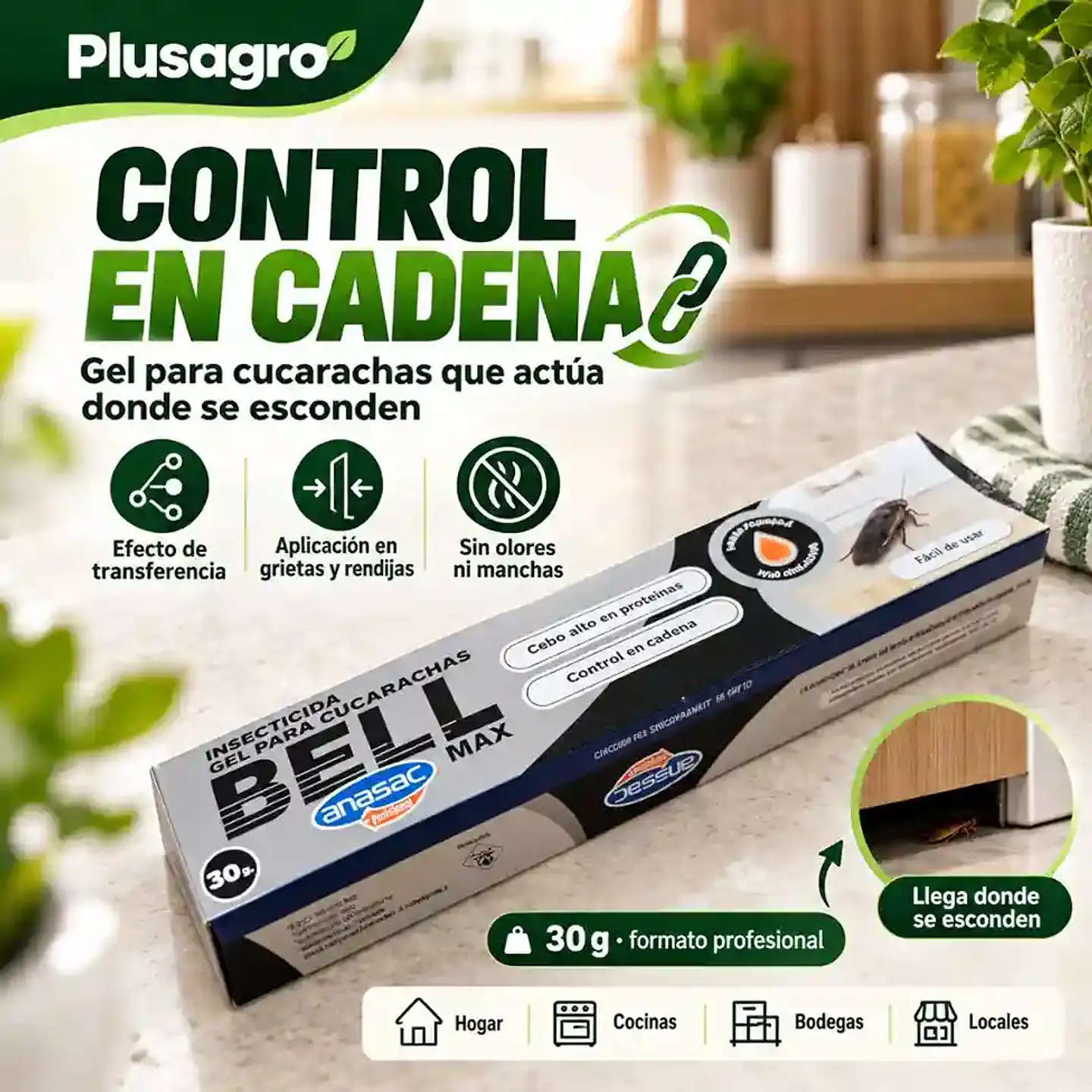 Veneno para Cucarachas en Gel 30 g | Anasac Profesional 2